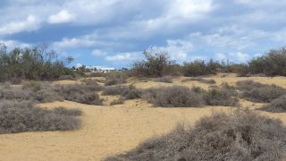 2023-GC--Mapalomas dunas-S123-017.jpg